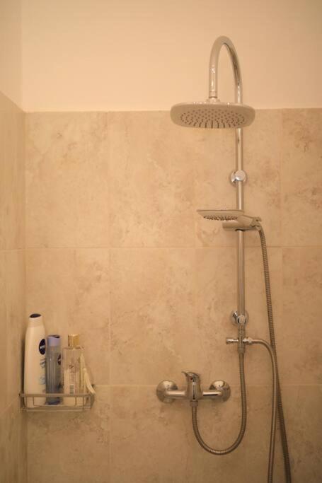 Charming Apartment In Historical City Center Temesvár Kültér fotó